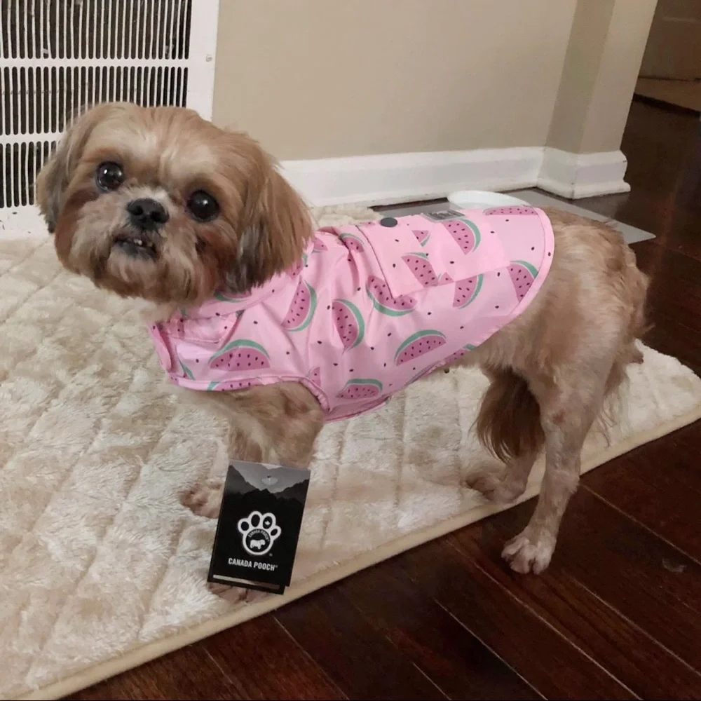 Canada Pooch Watermelon Pink Raincoat Small